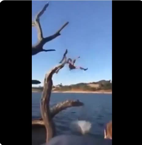 Hit every branch on the way down
