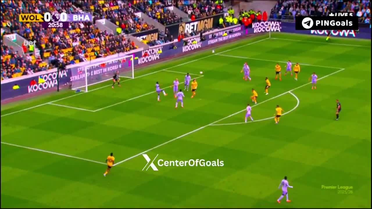 Wolves 1 - 0 Brighton - 22'