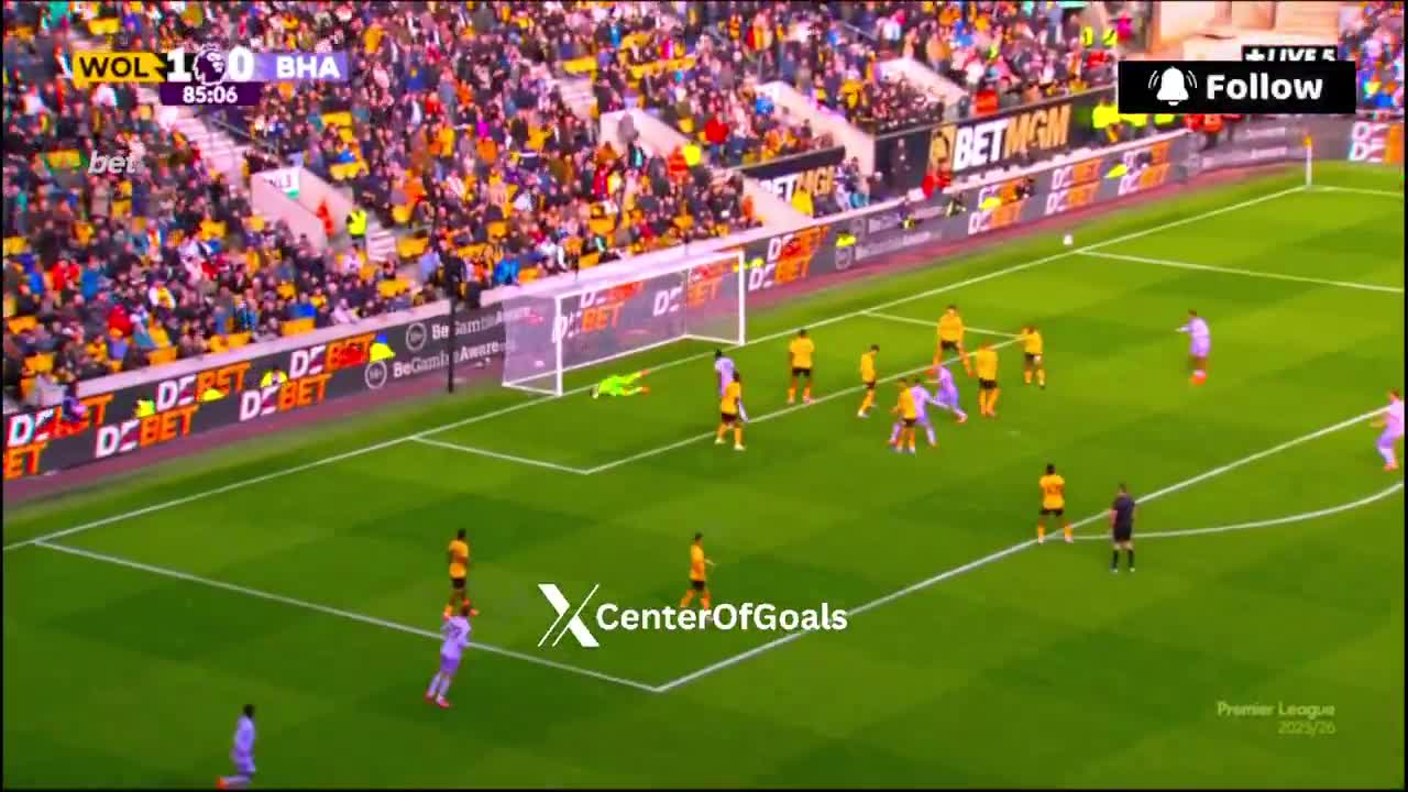 Wolves 1 - 1 Brighton - Jan Paul van Hecke 86'
