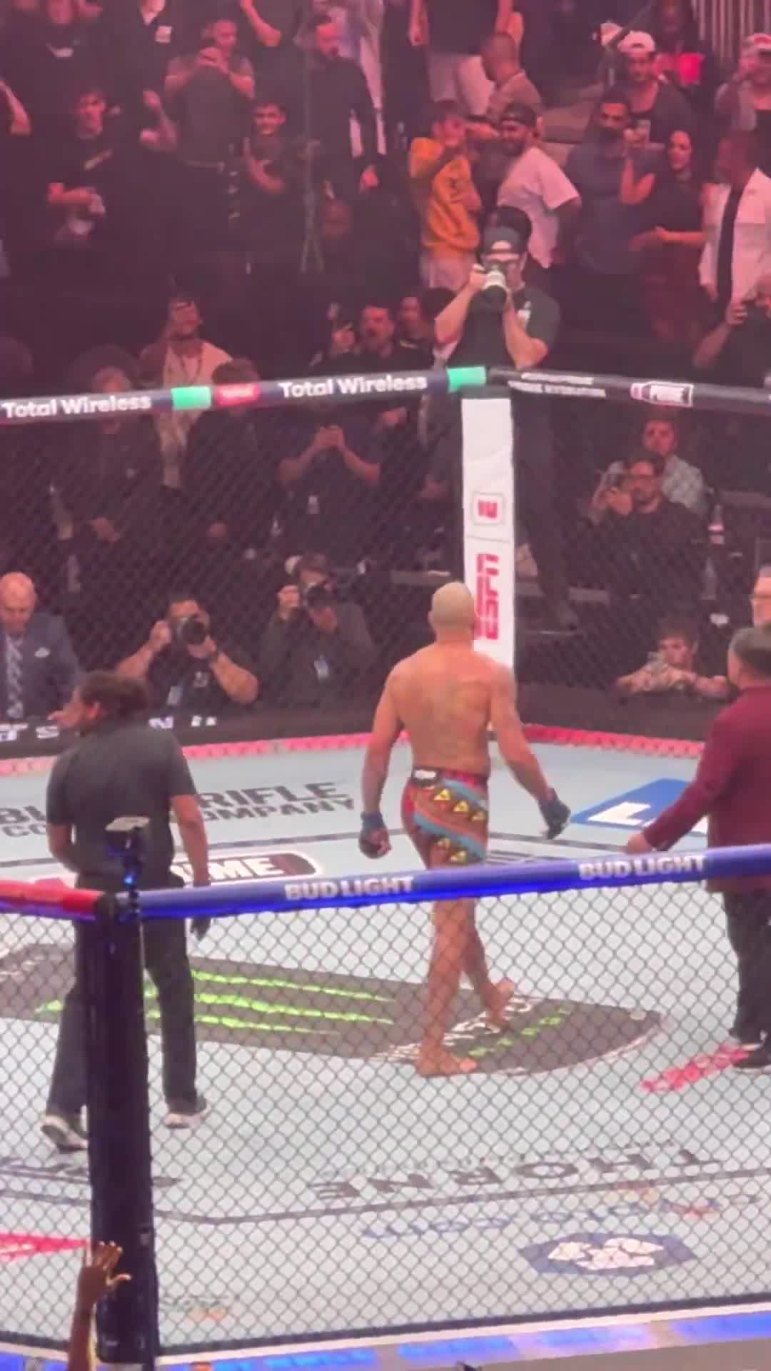 BRO THE CELEBRATION