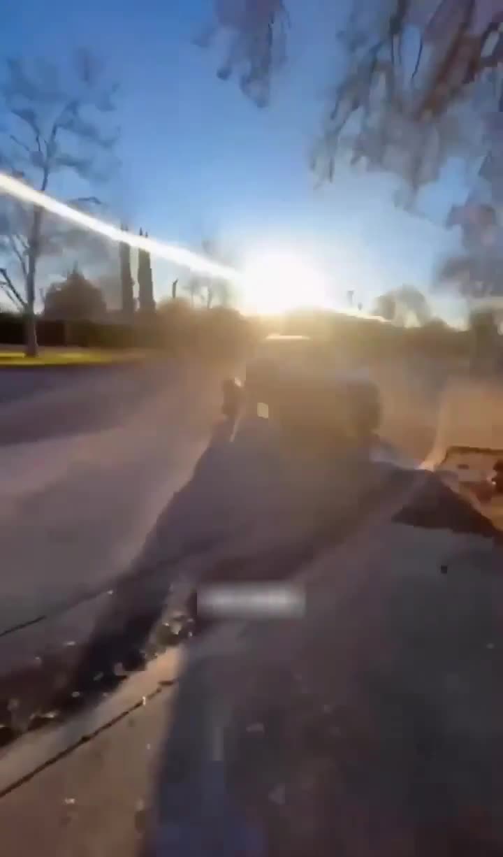 Not a single brain cell in that car