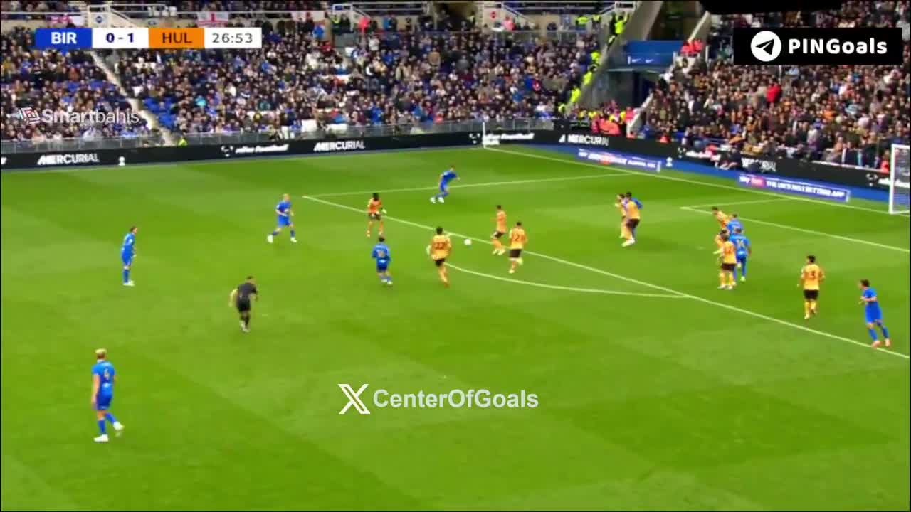 Birmingham City 1-1 Hull City