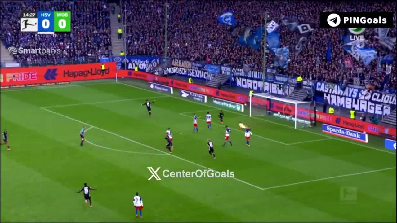 Hamburg 0 - 1 Wolfsburg - Adam Daghim 15'