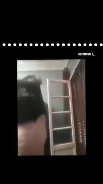 videoplayback