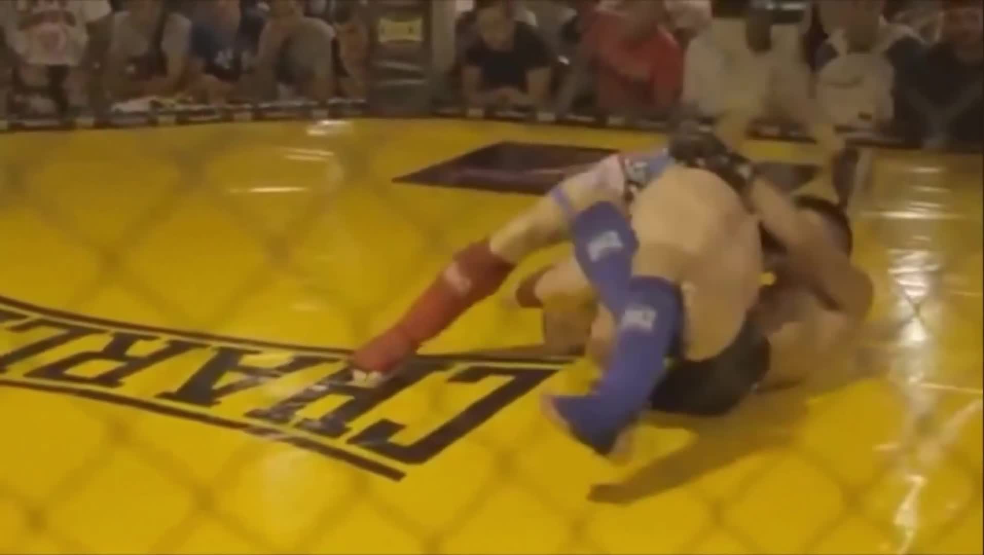 17-year-old Ilia Topuria finished his opponent cold and pulled off the zestiest celebration