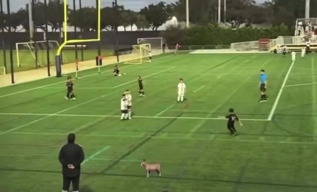 Leo Messi’s youngest son, Ciro — great free kick