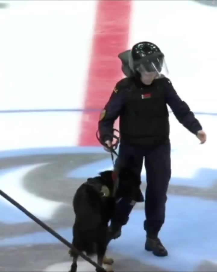 n the Russian KHL, an attack dog was brought out to drop the puck...