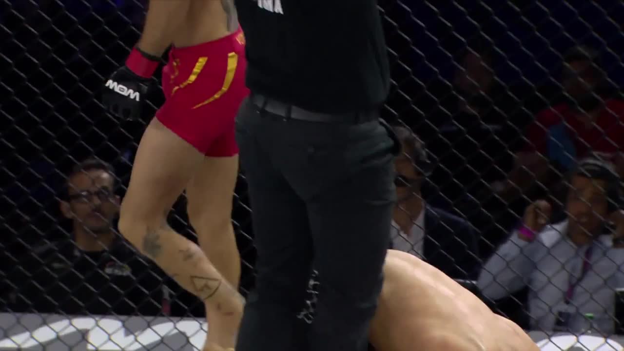 [SPOILER] Fabia Sintes vs Amir Malekpour.