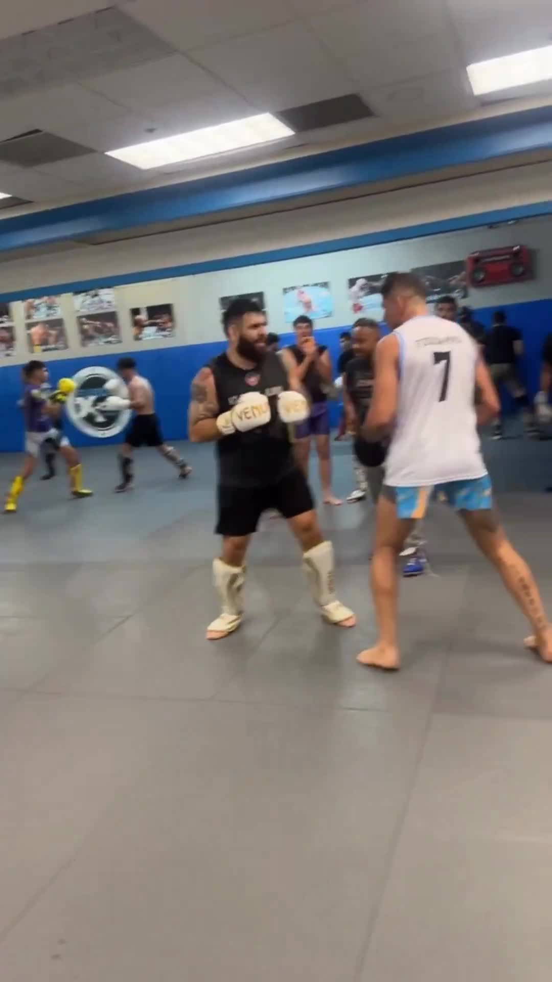 Fighter just challenged Alex Pereira at the gym and got knocked out