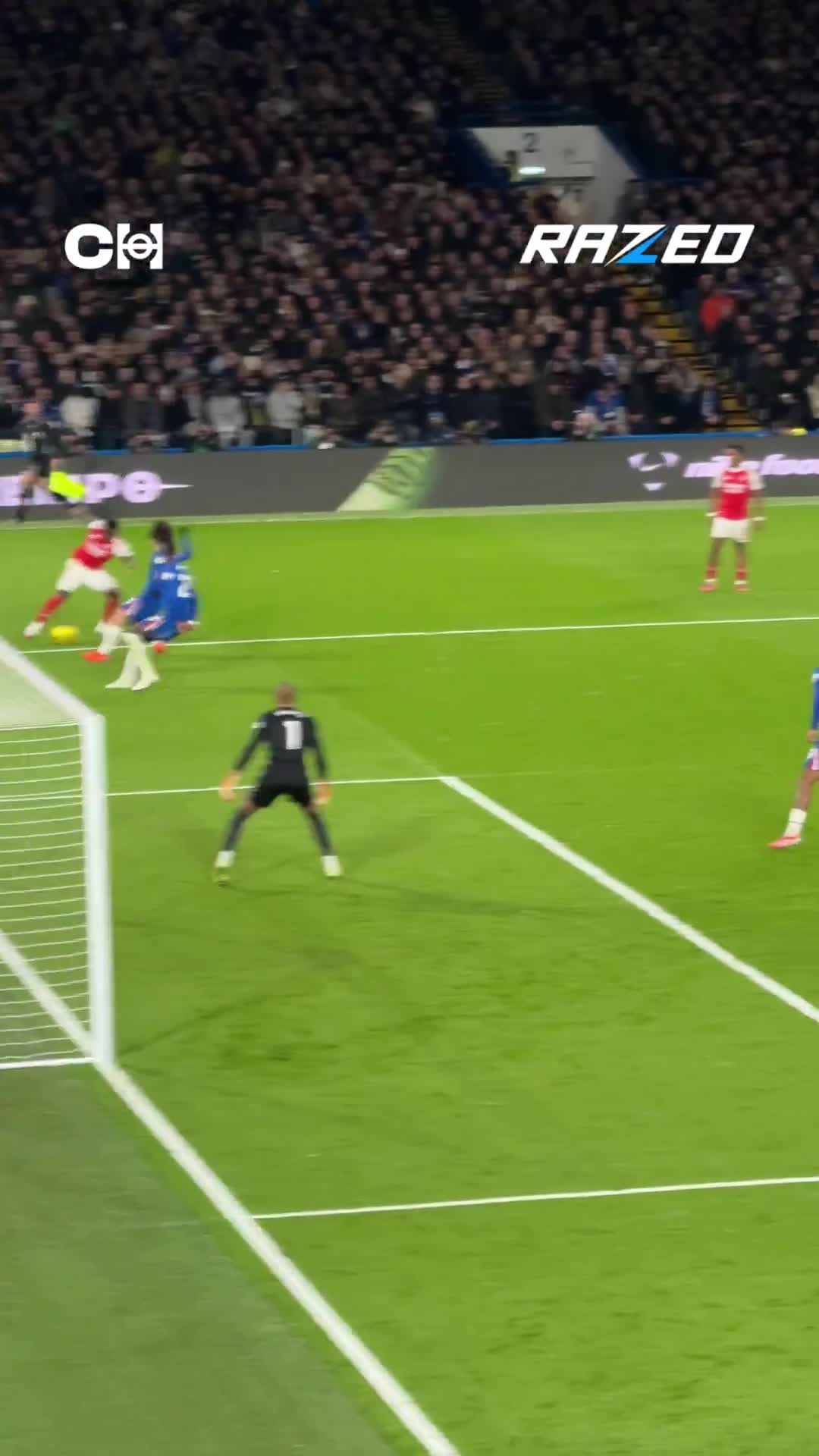 Mikel Merino’s goal captured from the stands against Chelsea