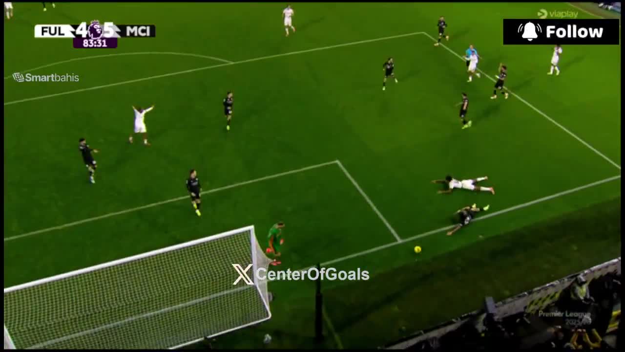 FULHAM FANS WAIT PENALTY BUT NO !!!