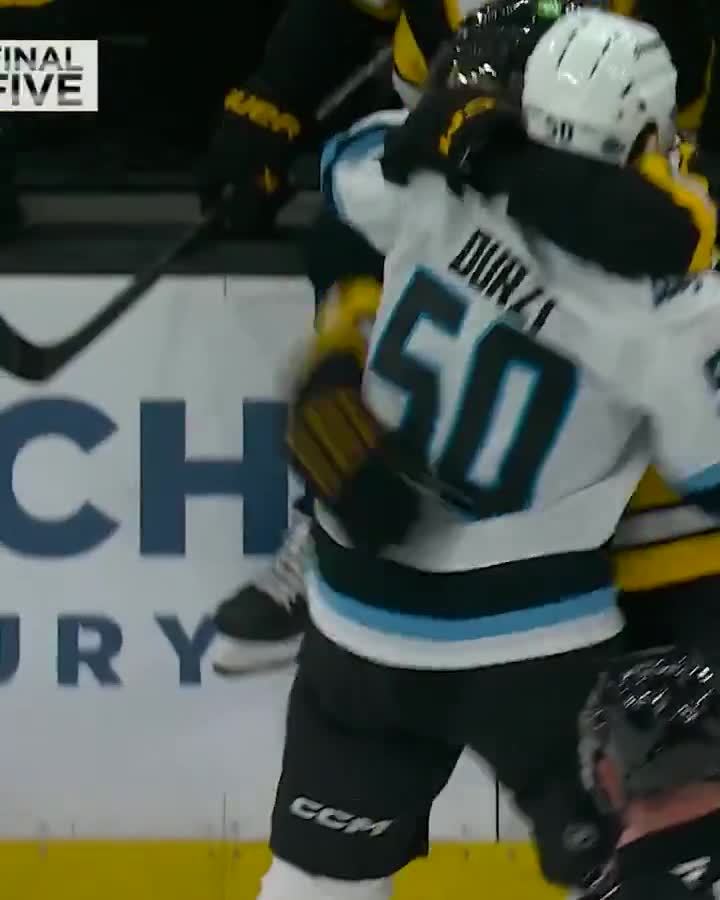 Brawl breaks out at TD Garden