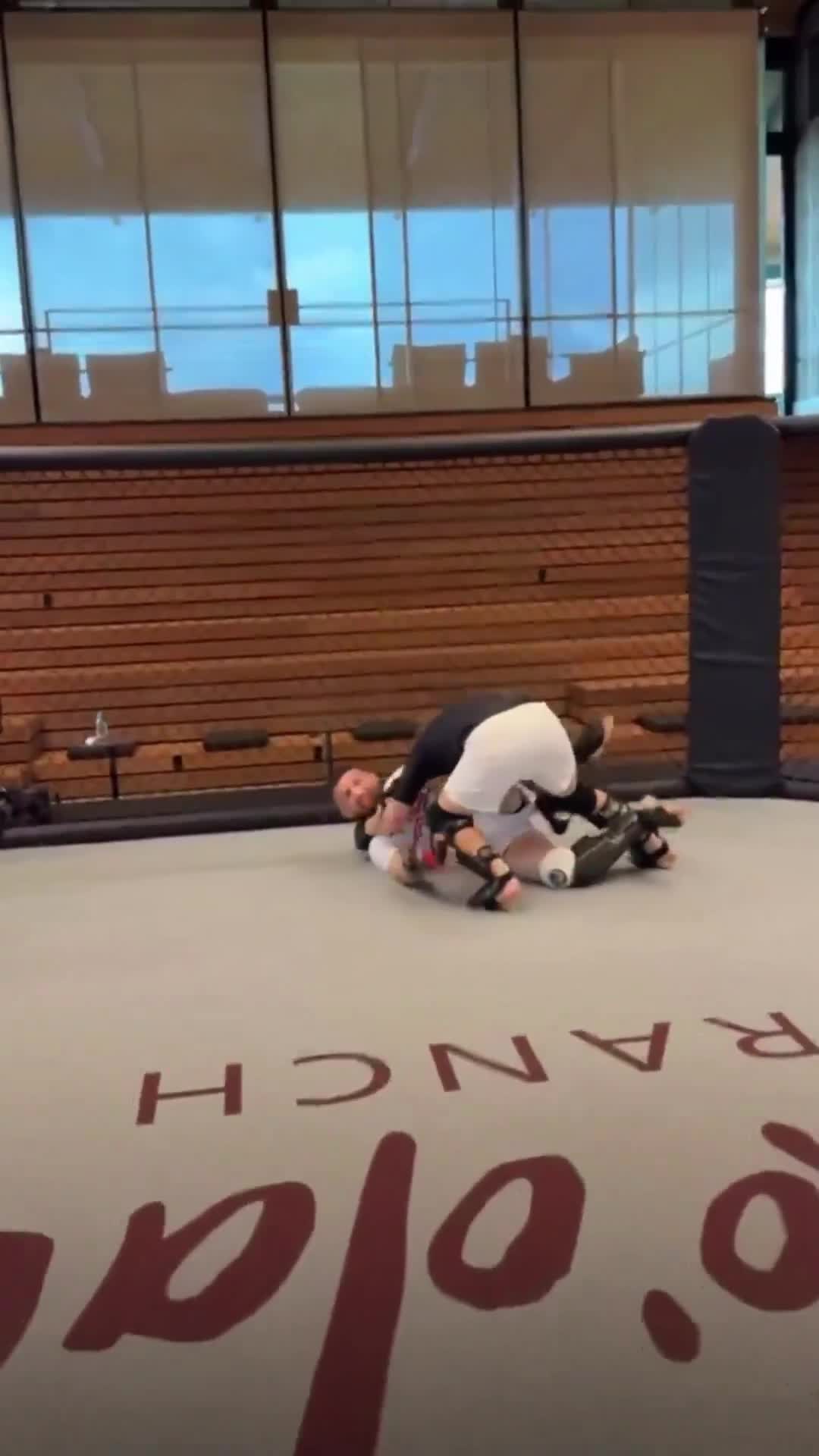 Merab playfully slaps Zuckerberg after a takedown in sparring