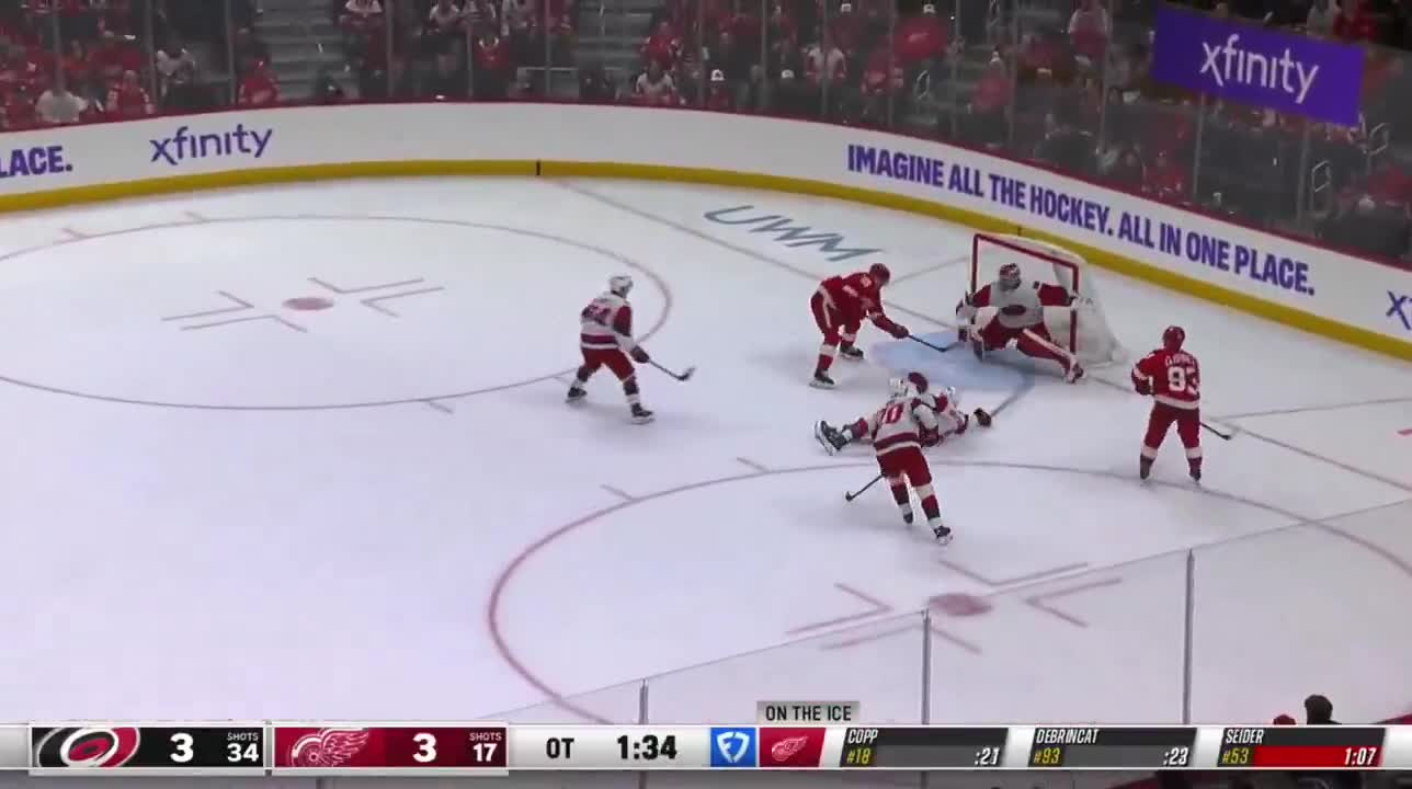 ANDREW COPP WINS IT FOR THE WINGS IN OT ...