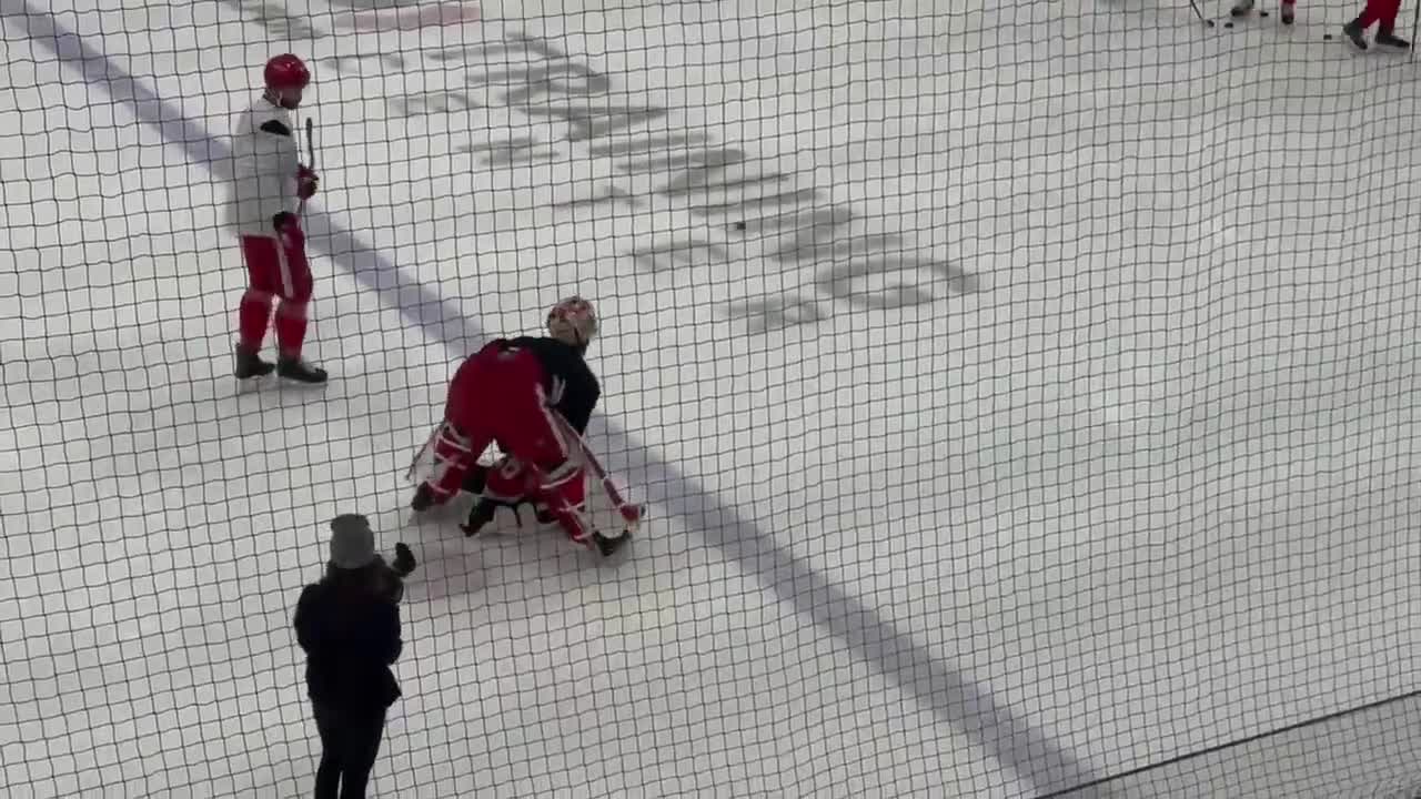 Red Wings have a little visitor at pract...