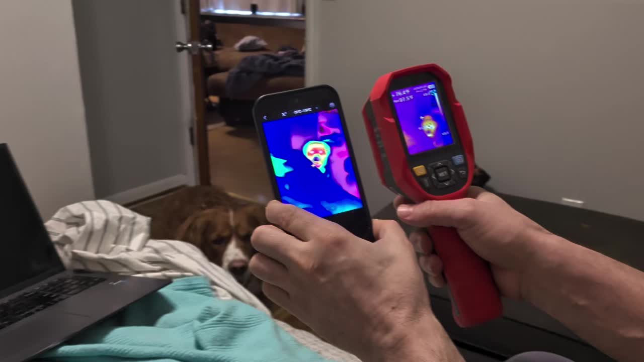 8767