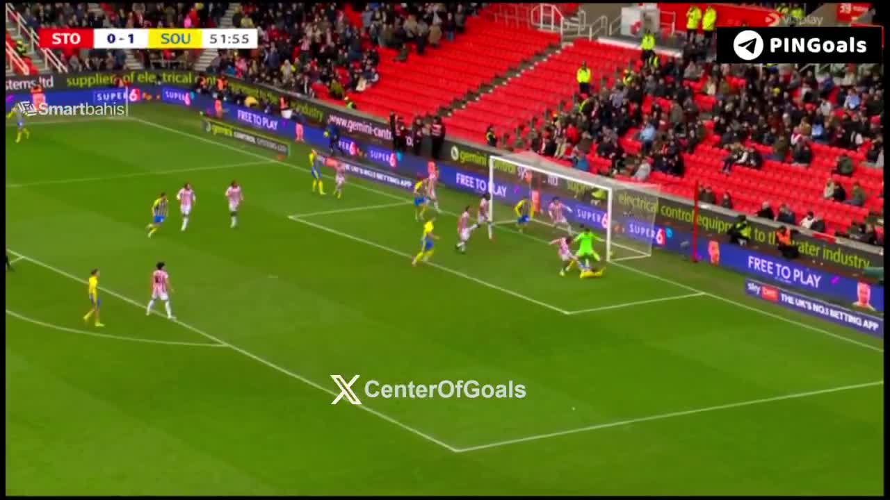 GOAL! Stoke 0-2 Southampton. Flynn Downe...