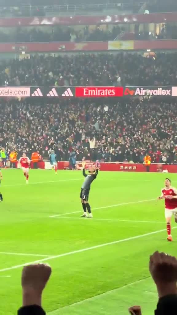 Just watch Robert Sánchez and Enzo Ferná... (1)