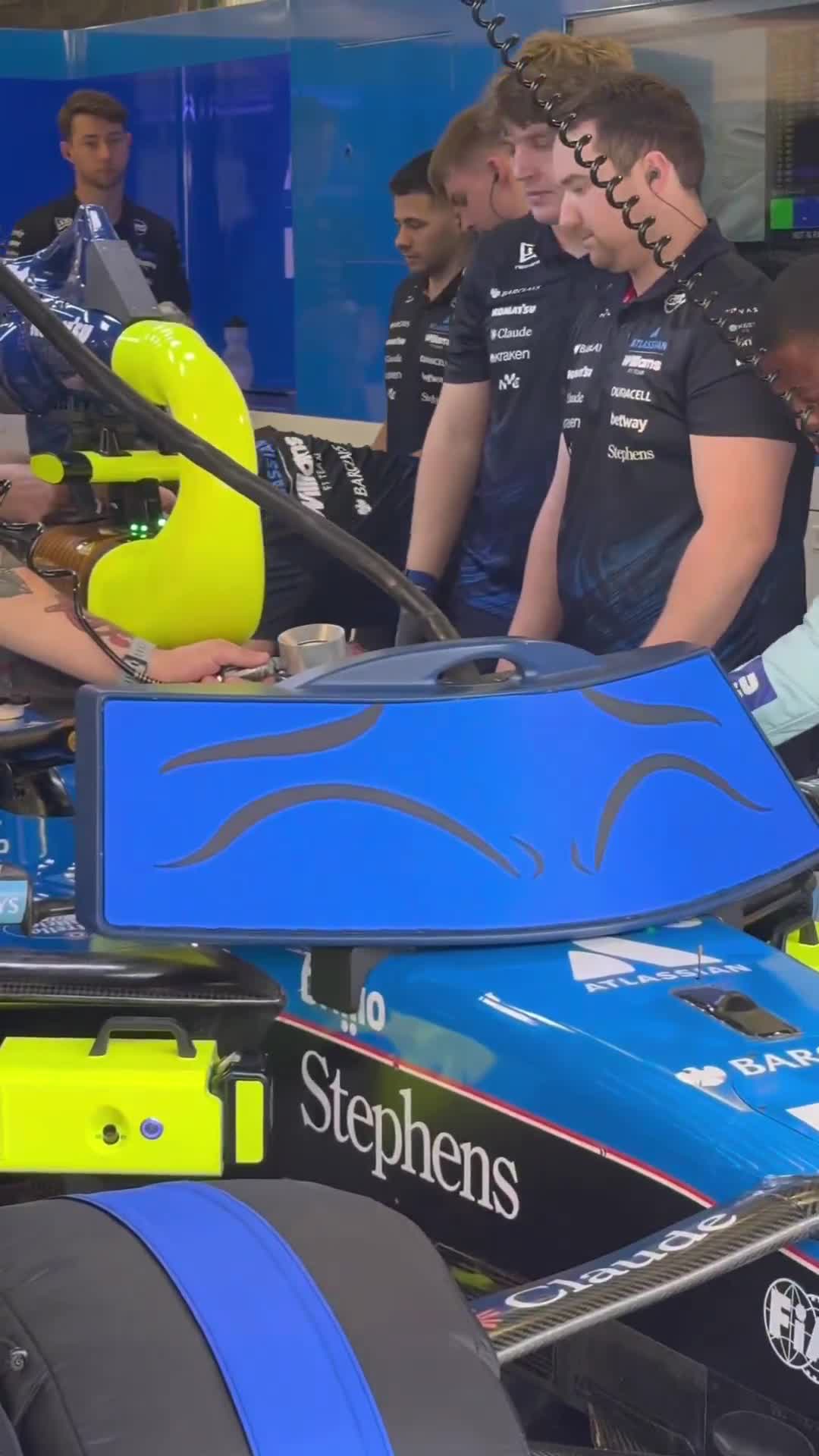 Williams have brought their whimsical to...