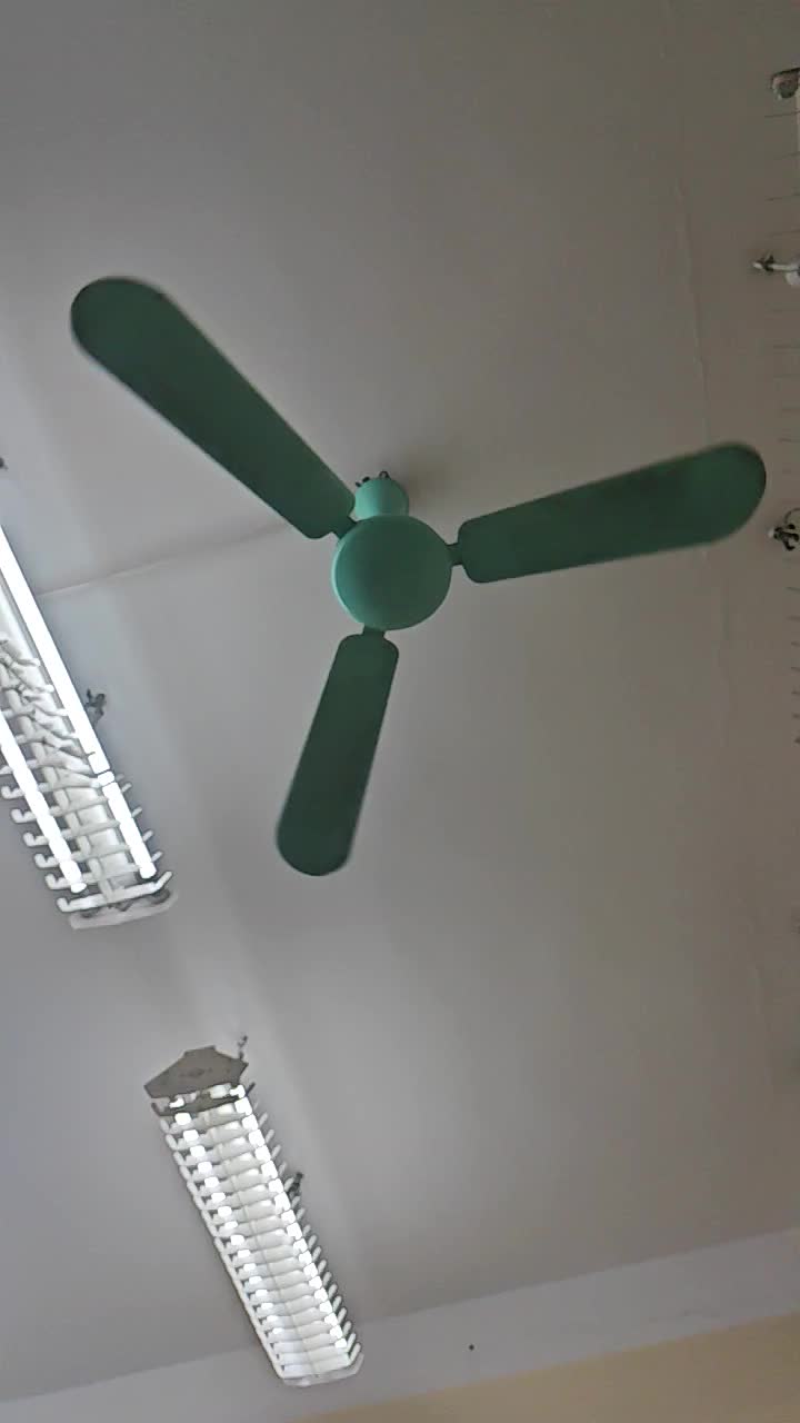 VID_20241028_121108_HSR_480