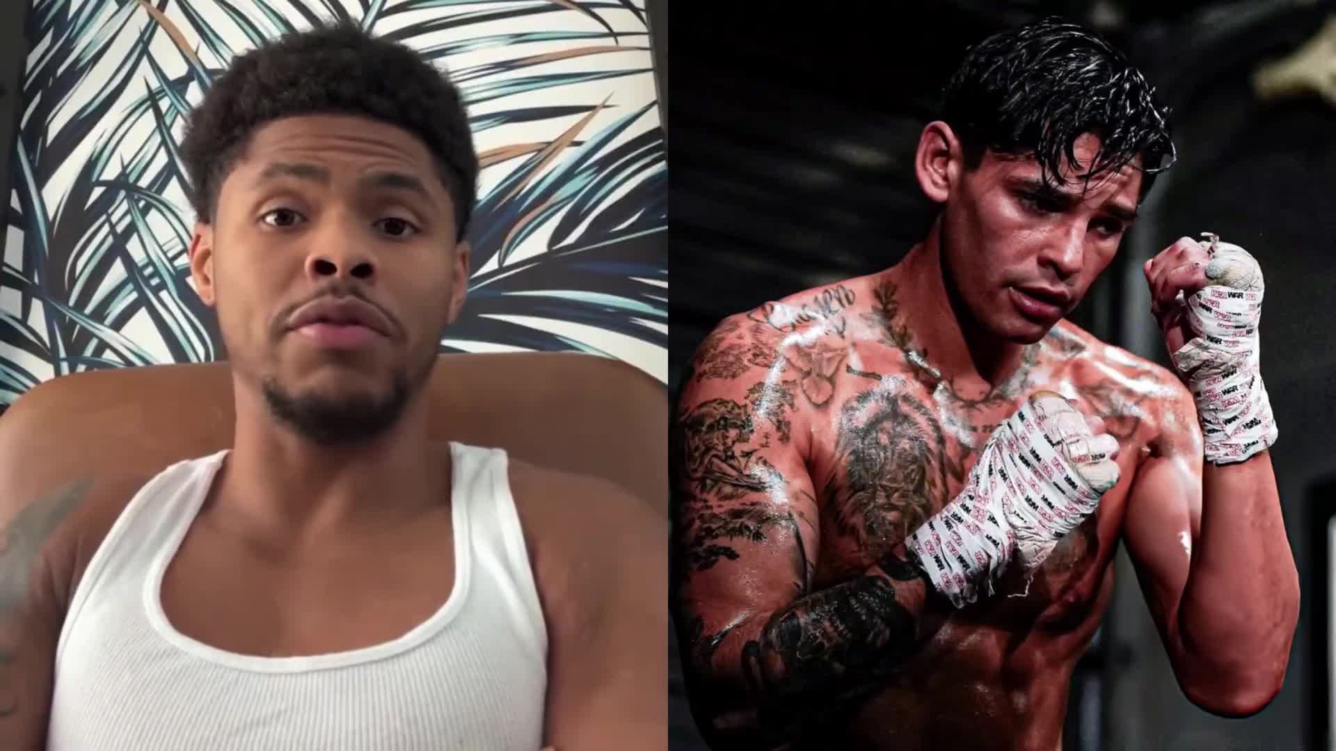 Shakur Stevenson on whether hell fight...
