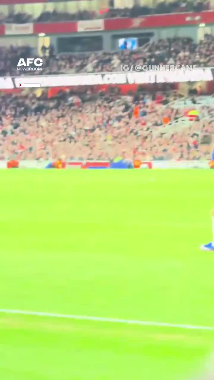 Watch the full sequence of Pedro Netos...