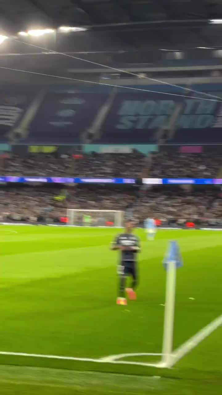 Vini Jr celebration 