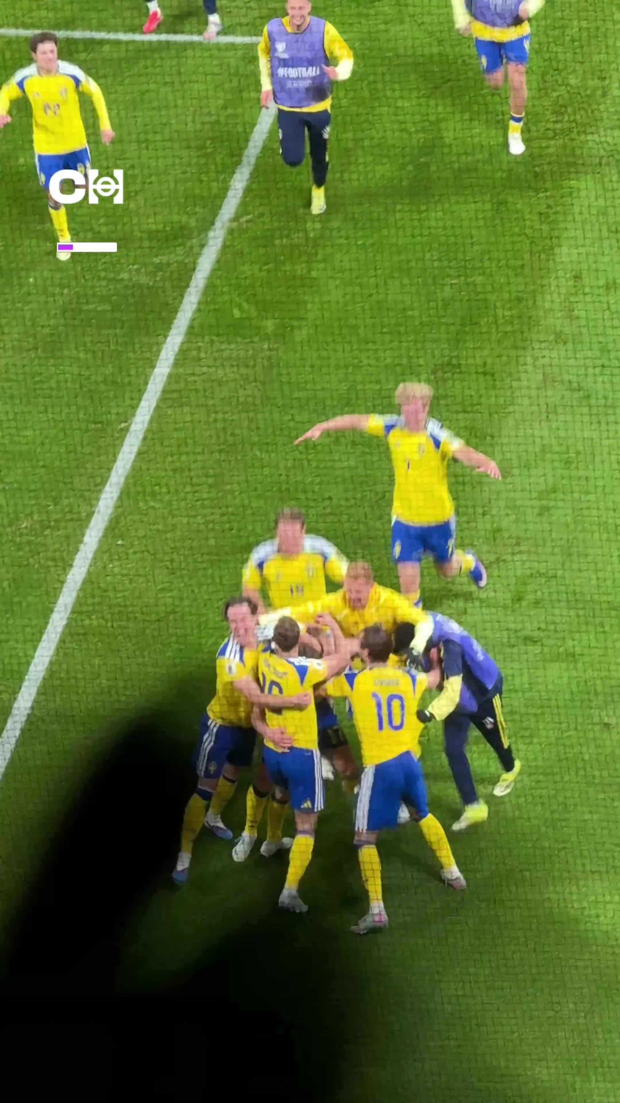 Stand view capturing the moment of Sweden national football team after qualifying for the World Cup.