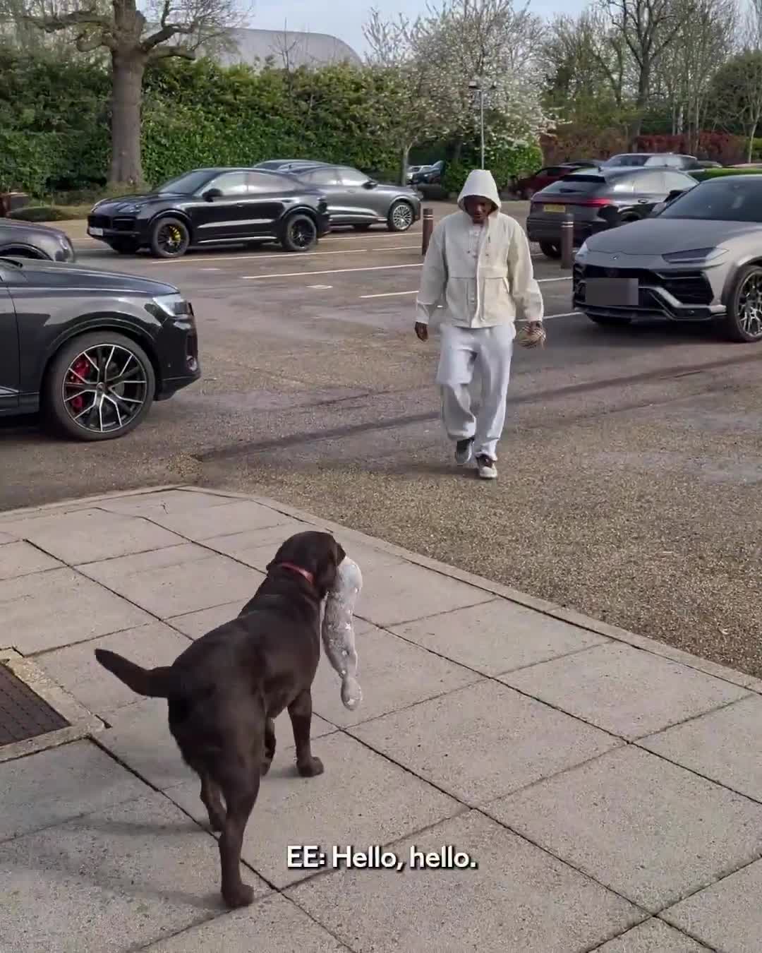 Eberechi Eze arriving for training & being greeted by Arsenal’s club dog, Win.
