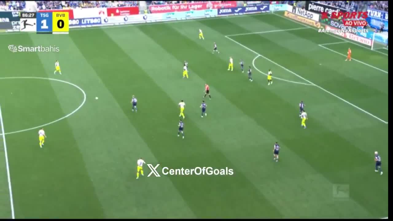 Hoffenheim 1-1 Dortmund