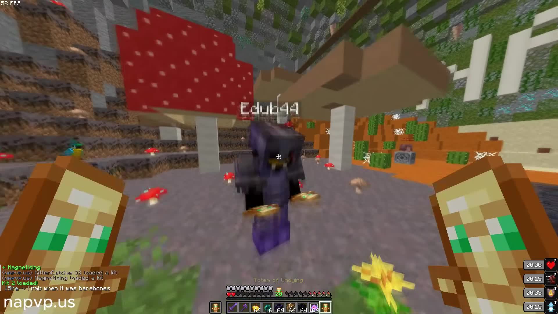 cpvp-montage