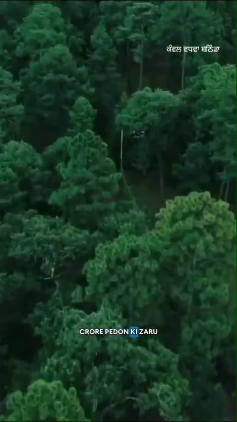 1001689716