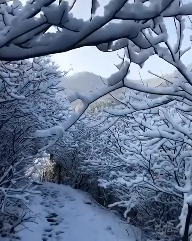 1000201839