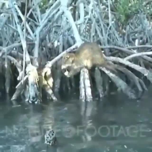 Caught slacking.