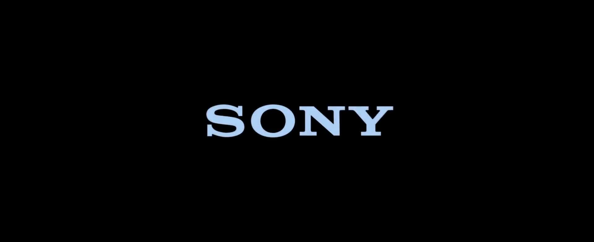 Spider-Man.Into.The.Spider-Verse.2018.1080p.WEBRip.x264-[YTS.AM]