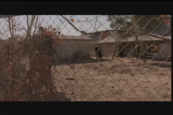 scenes12