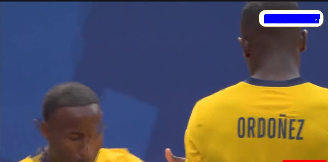 Beccacece's reaction after Nilson Angulo's goal against Germany