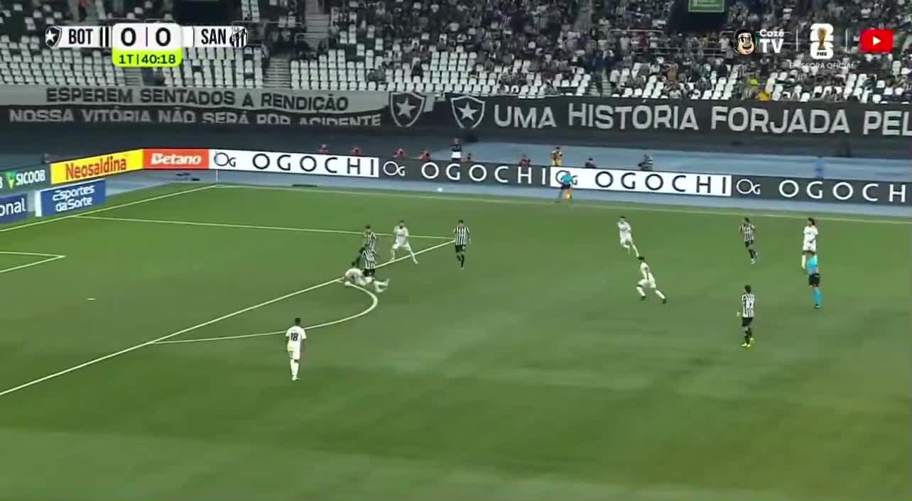 Botafogo 1 - 0 Santos -