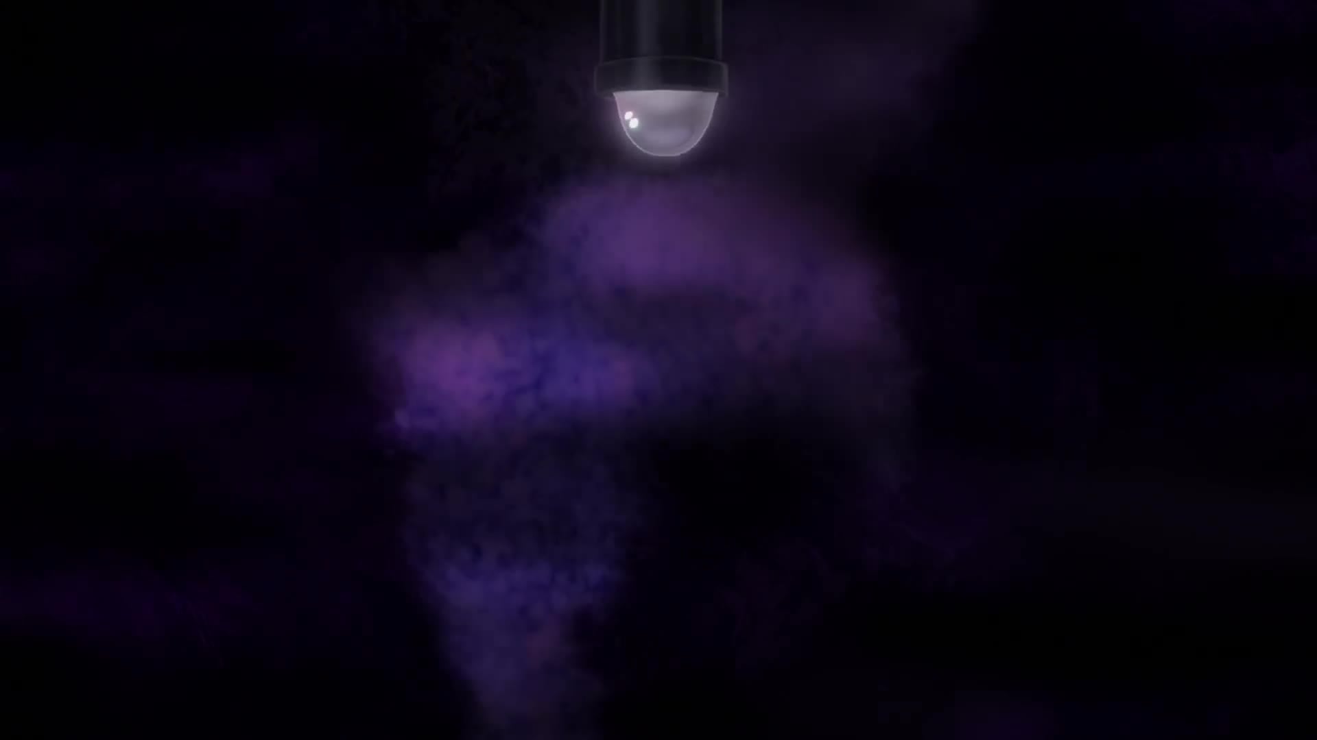 1000046208