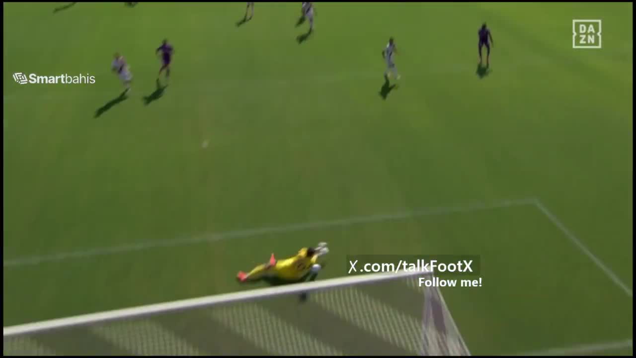 Fiorentina 1-0 Torino