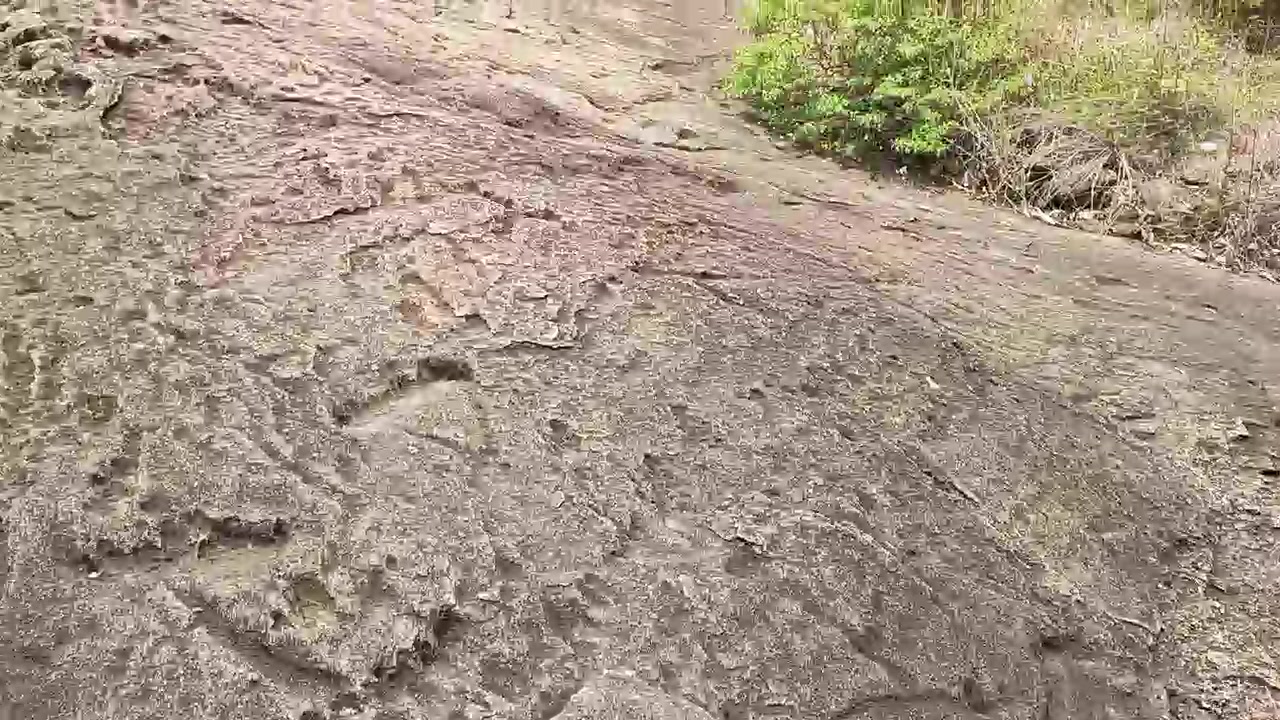 1000789297