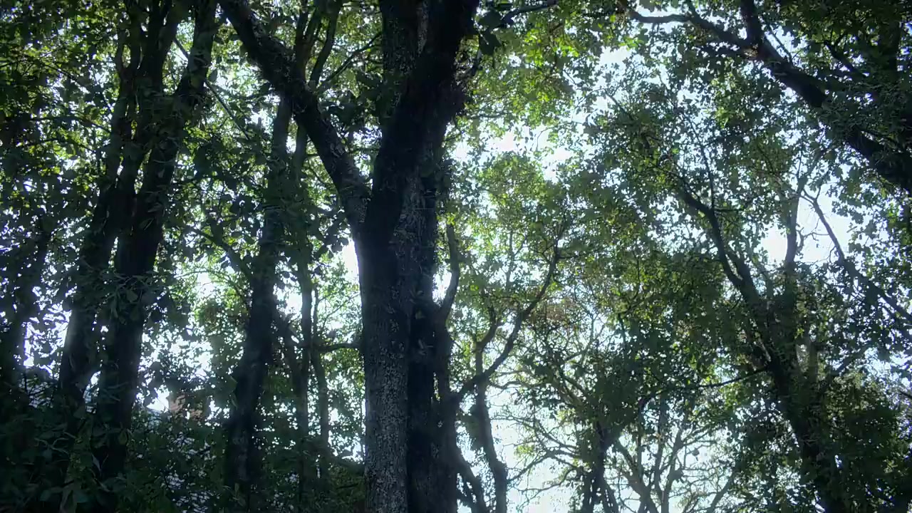 Socorro - Capitulo 01