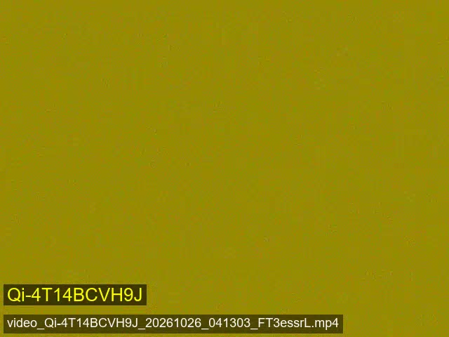 video_Qi-4T14BCVH9J_20261026_041303_FT3essrL_stego