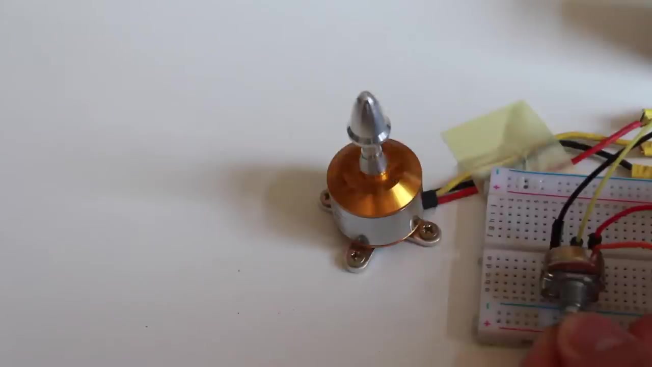 SiWKmoLqlRg