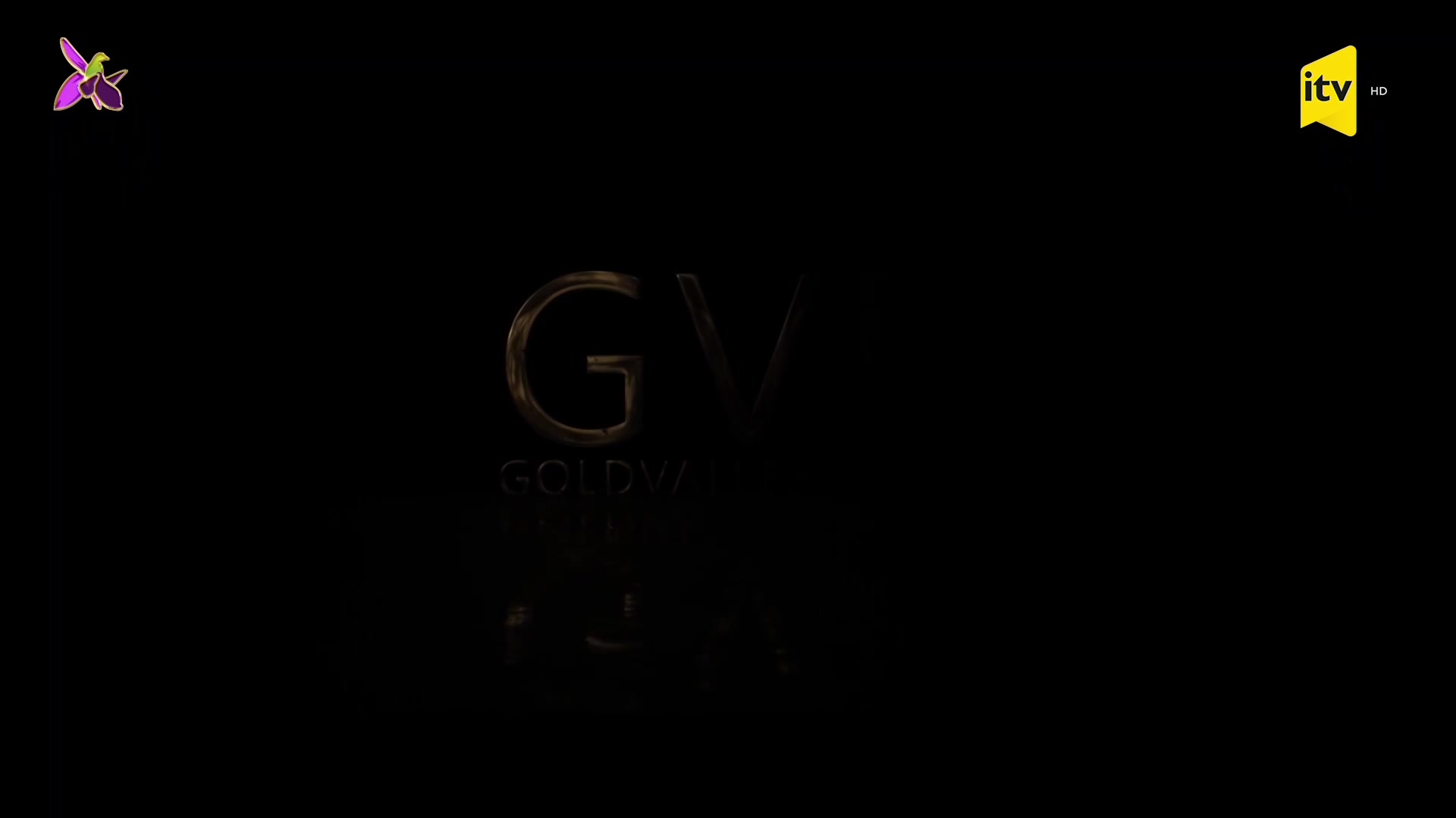 ellavesehrlidasinsirri2021